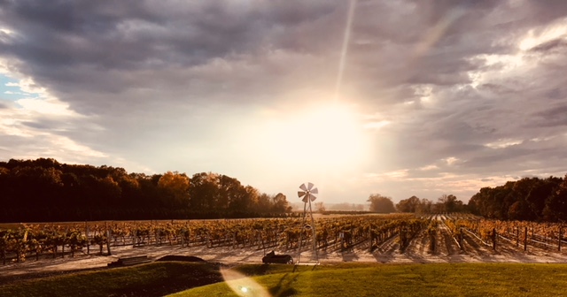 Plagidos Sunrise