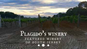 plagidos