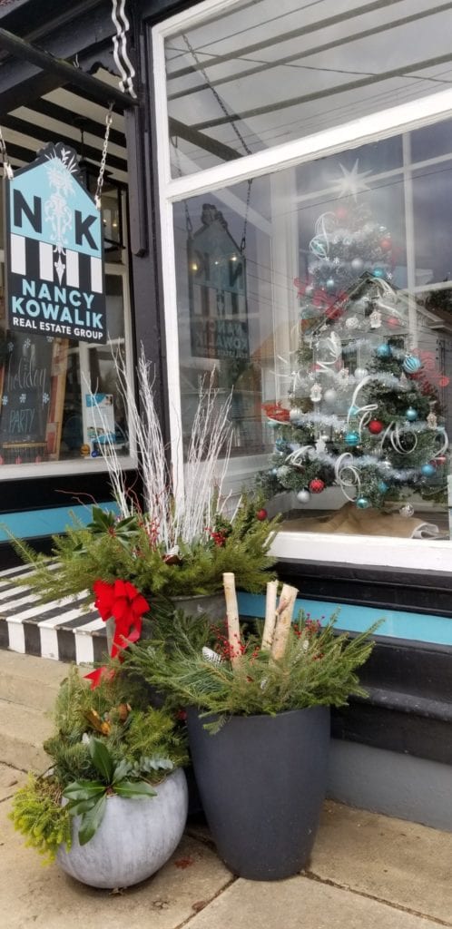 Front window showing Christmas tree and outdoor potted plants