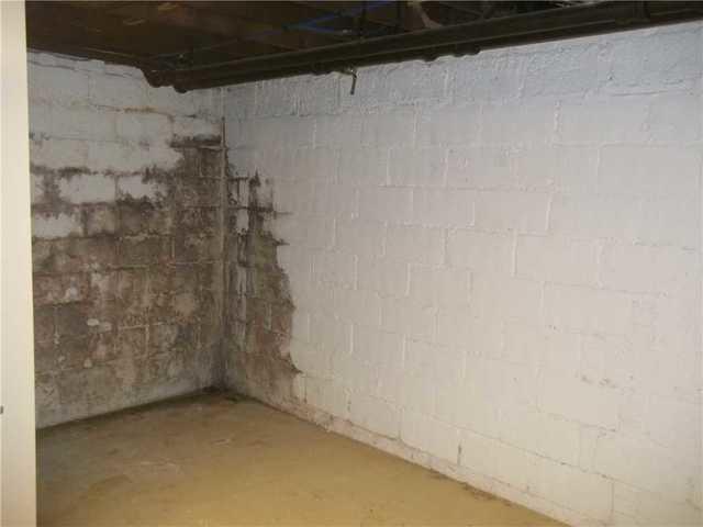 a wet basement