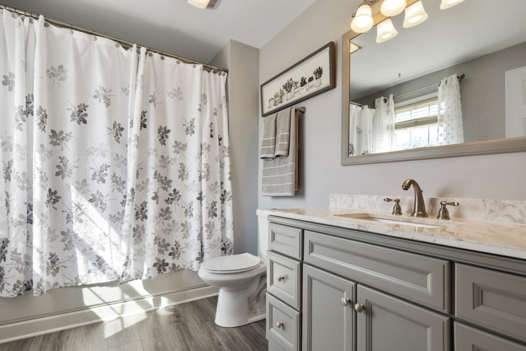 The Master Bathroom