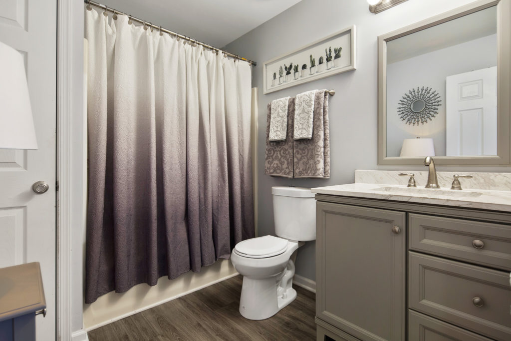 The Hall Bathroom