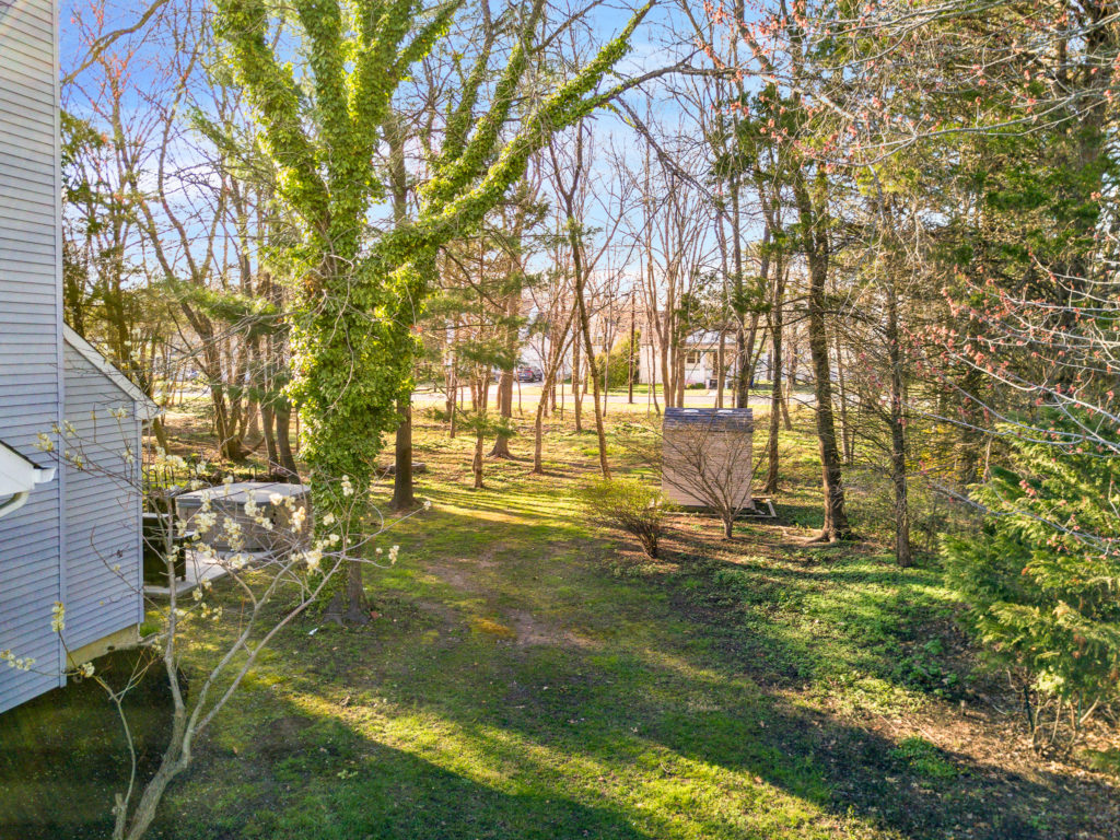 The yard at 49 Woodduck